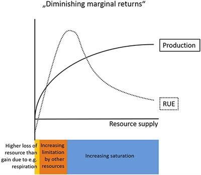 “Unifying” the Concept of Resource Use Efficiency in Ecology